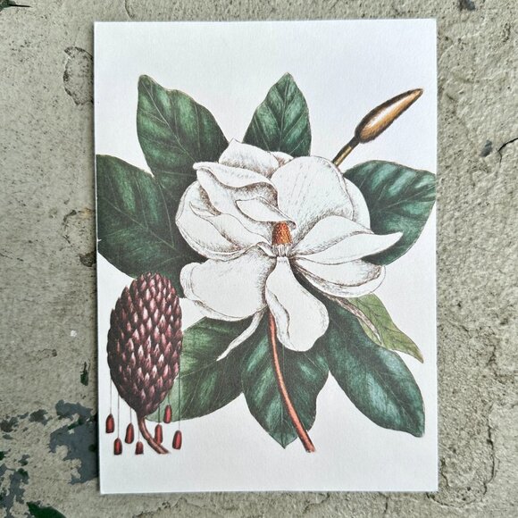 The Laurel Tree of Carolina Blank Card - Picture 6 of 12